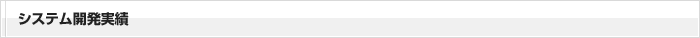 システム開発実績