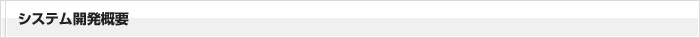 システム開発概要