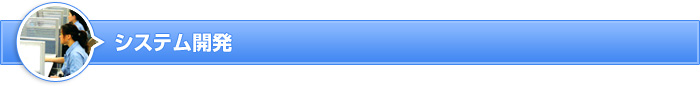 システム開発